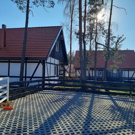 Villa Domek Na Gwizdowce Kaszuby à Zalakowo Extérieur photo